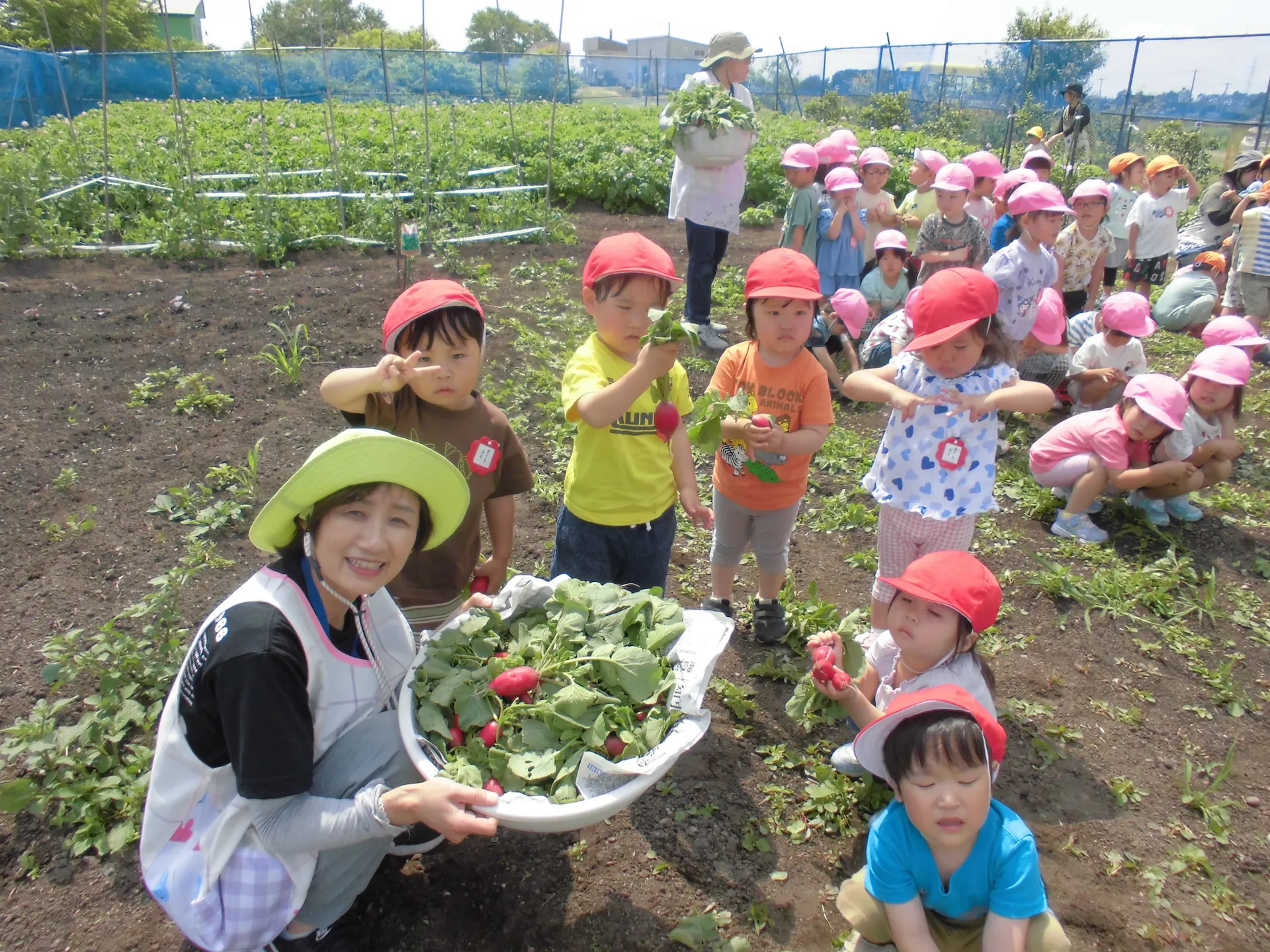 園内菜園